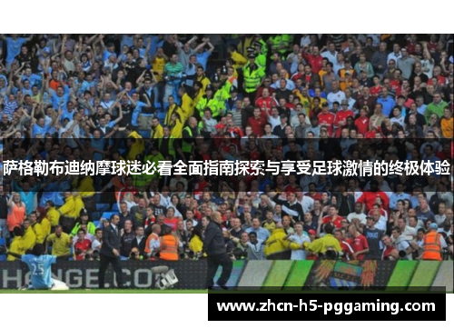 萨格勒布迪纳摩球迷必看全面指南探索与享受足球激情的终极体验