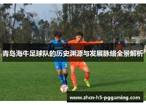 青岛海牛足球队的历史渊源与发展脉络全景解析 青岛海牛足球队的历史渊源与发展脉络全景解析