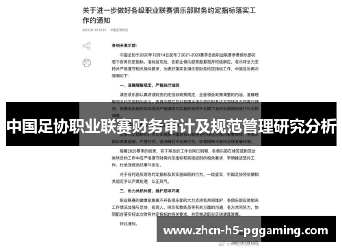 中国足协职业联赛财务审计及规范管理研究分析 中国足协职业联赛财务审计及规范管理研究分析