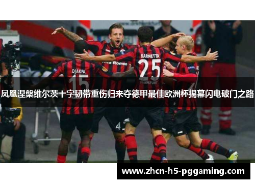 凤凰涅槃维尔茨十字韧带重伤归来夺德甲最佳欧洲杯揭幕闪电破门之路 凤凰涅槃维尔茨十字韧带重伤归来夺德甲最佳欧洲杯揭幕闪电破门之路